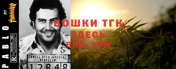ГАЛЛЮЦИНОГЕННЫЕ ГРИБЫ Балахна