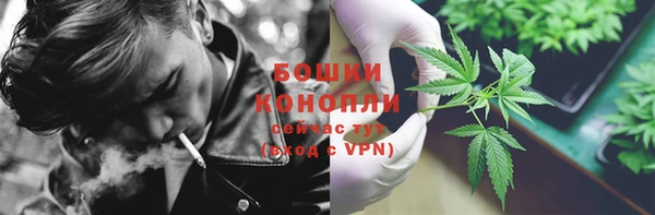 ГАЛЛЮЦИНОГЕННЫЕ ГРИБЫ Балахна