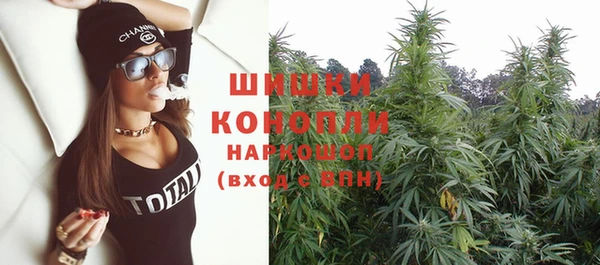 ГАЛЛЮЦИНОГЕННЫЕ ГРИБЫ Балахна